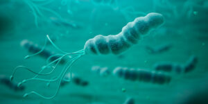 Infección por Helicobacter pylori. Qué recomiendan los especialistas en gastroenterología de Quito. 5 helicobacter pylori causa gastritis